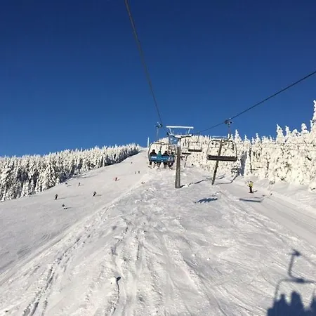 Apartment Medvedin 331/110