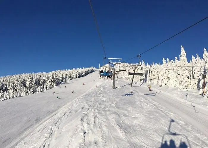 Appartement Medvedin 331/110